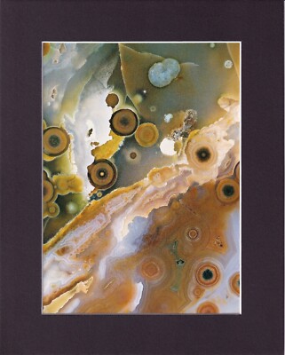 8X10'' Matted Print Art Picture Inside Cut Stone: Ocean Jasper