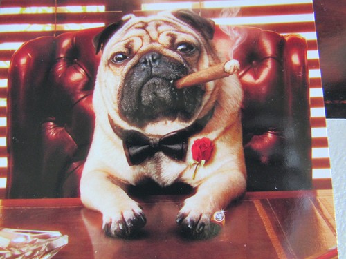Lot of 12 Cigar Smoking Bull Dog Dad Father's Day Card Greeting Avanti Press USA - Picture 3 of 8
