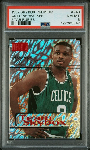 1997-98 Skybox Premium Team Skybox Antoine Walker #248 Star Rubies /50 PSA 8