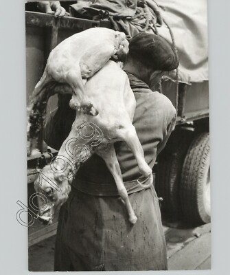 BUCHAREST Romania Man Hauls Fresh Meat to AGRICULTURE MARKET 1950s Press Photo