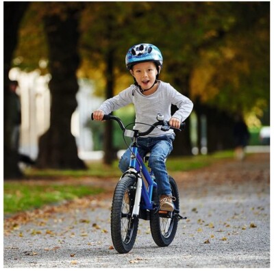 Kids Blue Bike Boys Girls Freestyle Outdoor Bicycle 14 inch With