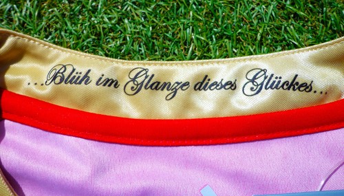 Deutschland DFB Damen Fussball Trikot  Jersey ADIDAS + Größe L + EM WM V14590 - Bild 4 von 5