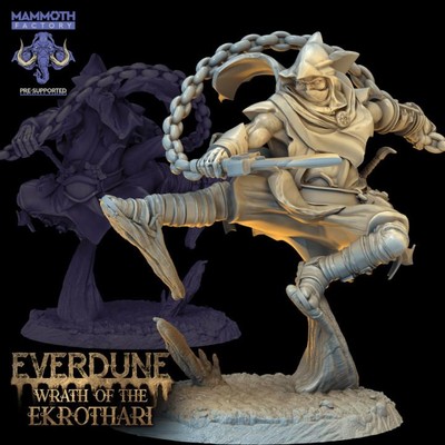 Ekrothari Sand Elf Fighter Rogue Miniature | DnD D&D