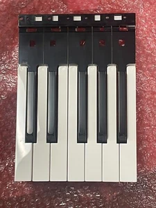 Korg RH-4 Krome88 SP170 SP280 Kross88 12 Crise clé 510646508012