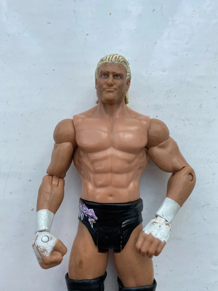 Wwe Dolph Ziggler Mattel Paquetes de Batalla Serie 18 Lucha Libre Acción - Imagen 2 de 4
