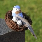Bild 2 von 12