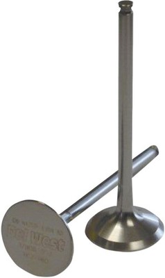 Del West Ansaugventil Plus 2Mm - Titan #DWLTR4501IV11HF