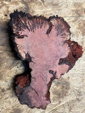 Manzanita Natural Wood, Forest Fire, 10.6 Lbs Wet, Live Edge