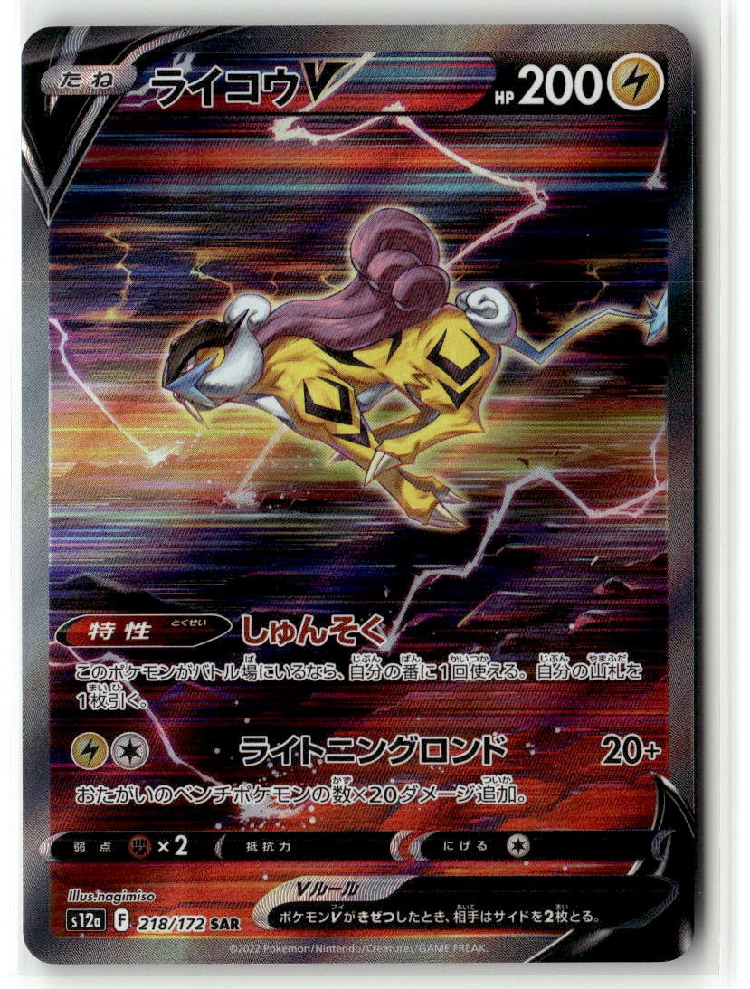 Raikou V 218/172 Special Art Rare VSTAR Universe Pokemon Japanese