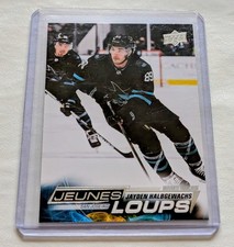 2022-23 Upper Deck French #456 Jayden Halbgewachs YG RC
