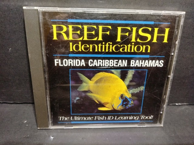 Reef Fish Identification Florida Caribbean Bahamas