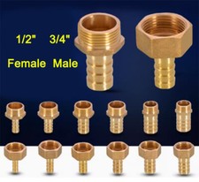 BSP Male/Female Thread Fitting x Barb Hose Tail End Connector For Air Fuel Brass