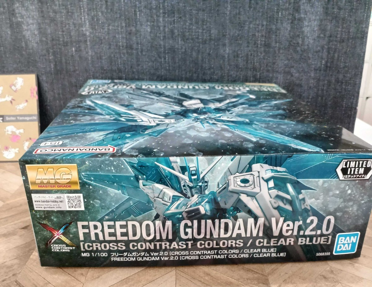 Bandai MG FREEDOM GUNDAM Ver. 2.0 CROSS CONTRAST COLORS CLEAR BLUE