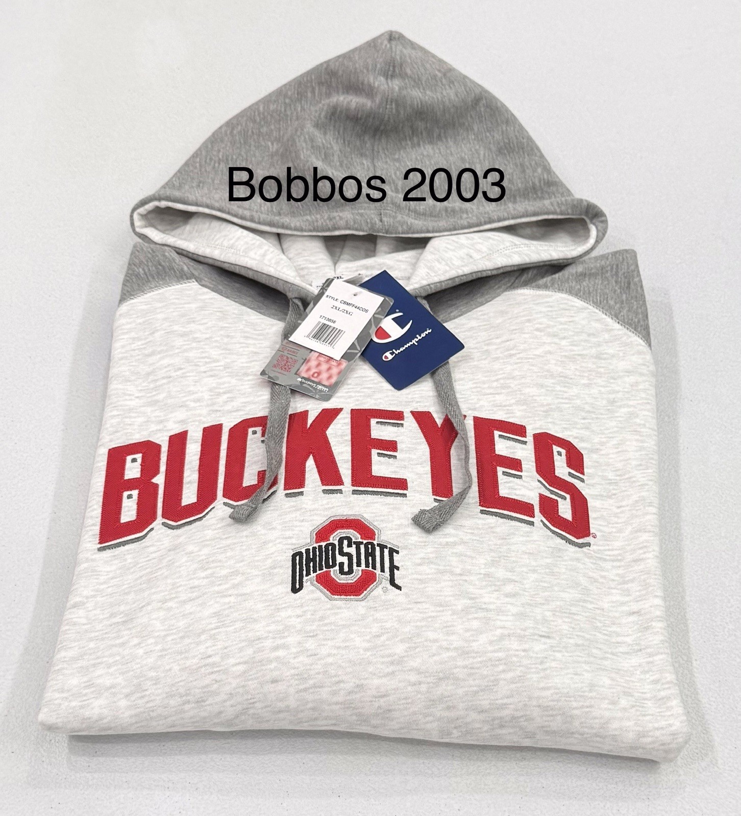 Champion Men's Long Sleeve Pullover Hoodie, Gray, Size XXL