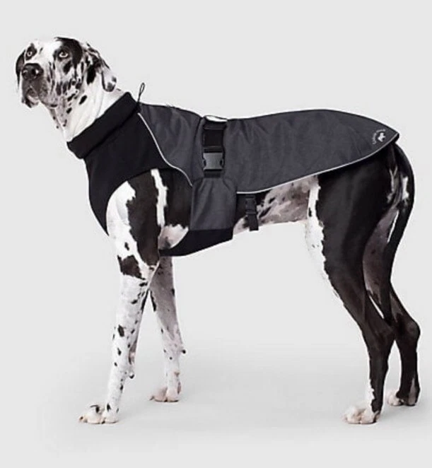 Canada pooch hotsell winter coats
