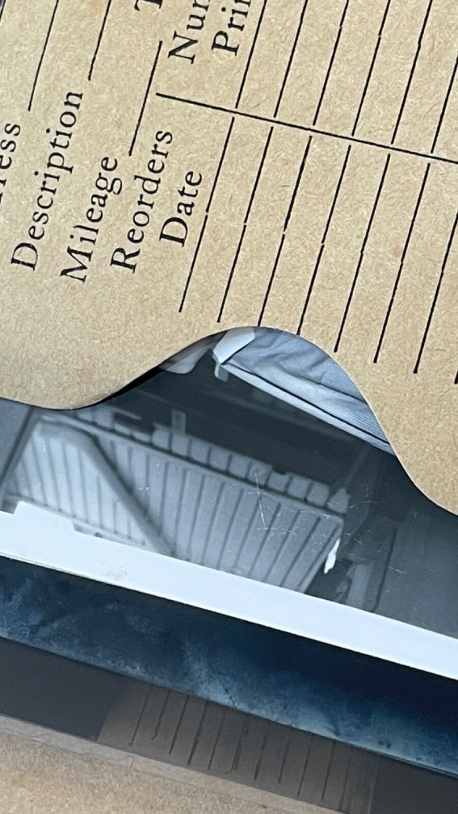 VTG B&W PRESS PHOTOS & Negatives 1950s Sports LAWN BOWLING TEAM Group RARE COA