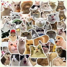 10/50/100 Cat Dog Memes Banana Cat Doge PEPE Funny Sticker Waterbottle Laptop