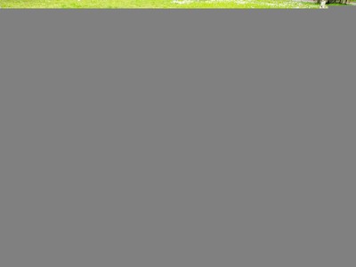 Classic Sketch Outdoor Picnic Tablecloth in 3 Sizes Washable Waterproof