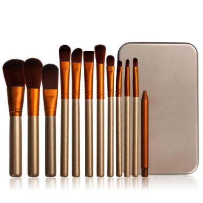 12 Stück Pinselset Rouge Foundation Lidschatten abgewinkelt flach Concealer Lippenpinsel Set