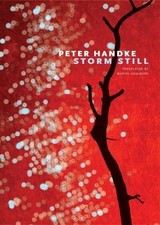 STORM STILL (THE GERMAN LIST) By Peter Handke & Martin Chalmers *Mint Condition*