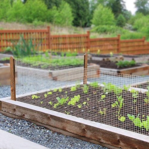 36"/48" x 100ft/50ft Hardware Cloth 1/4" Welded Wire Galvanized Mesh Fence Roll - Picture 8 of 57