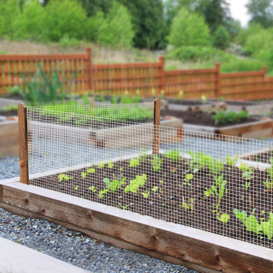 36in x 100ft Chicken Wire Poultry Fence Hardware Cloth 1/4 inch Welded