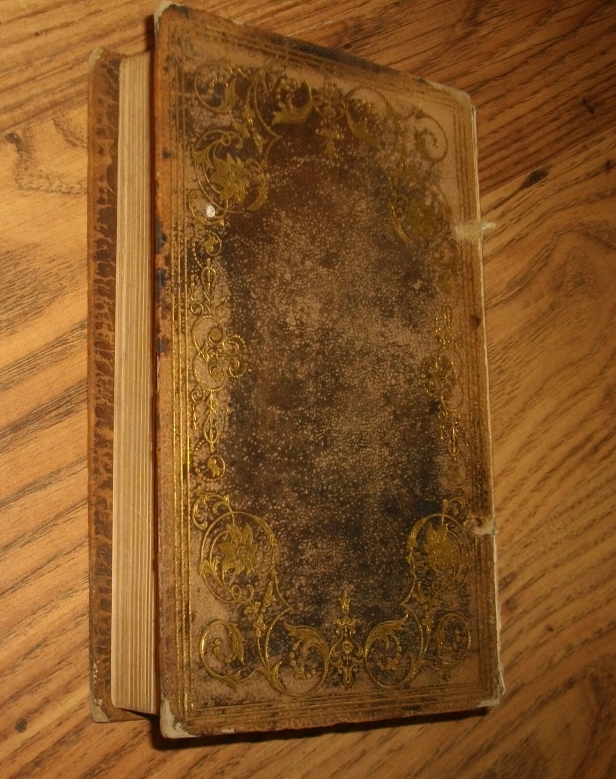 Picture 6 of 7