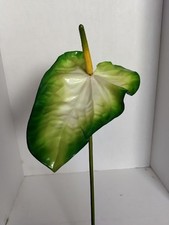 SALE  20" Anthurium stem tropical Hawaiian flowers
