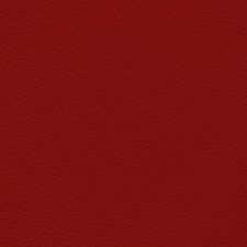 GM Red Leather Dye