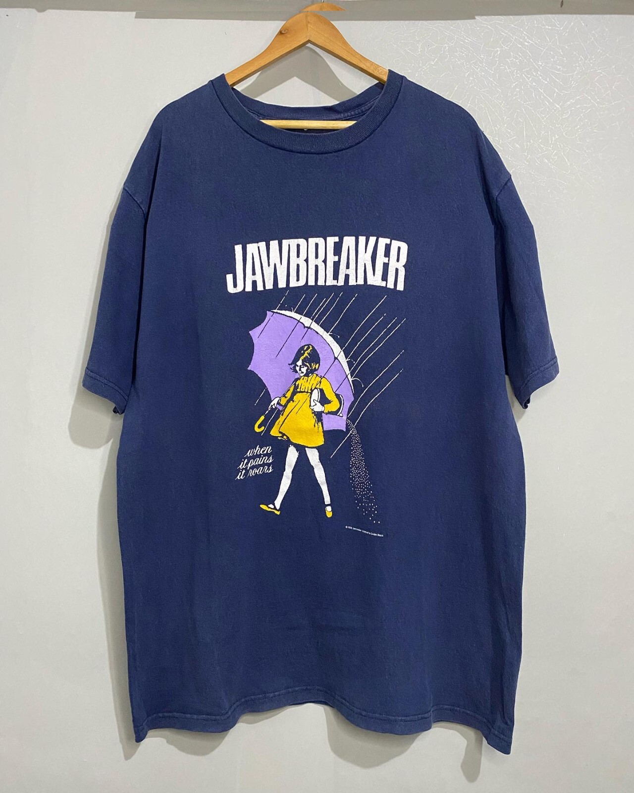 Vintage 1993 Jawbreaker Morton Salt Girl Band Shirt