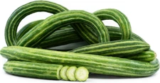 25 ARMENIAN YARD LONG CUCUMBER SEEDS ~ heirloomseedguy ~ NON-GMO ~ 2026