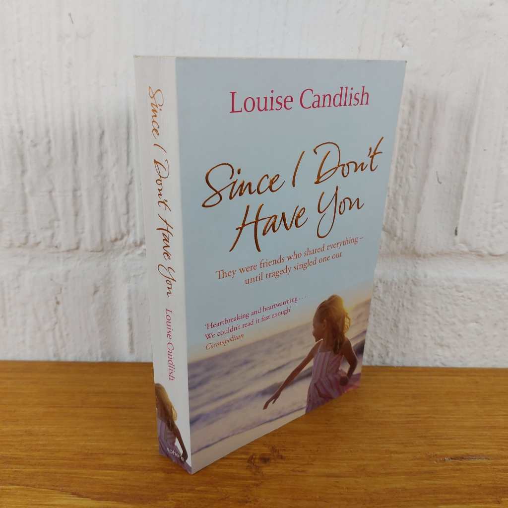 Since I Don't Have You: The gripping, emotional novel from the Sunday Times ...
