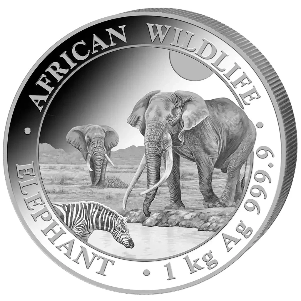 Silbermünze 1kg Elefant African Wildlife 2026 - Somalia - Anlagemünze - ST