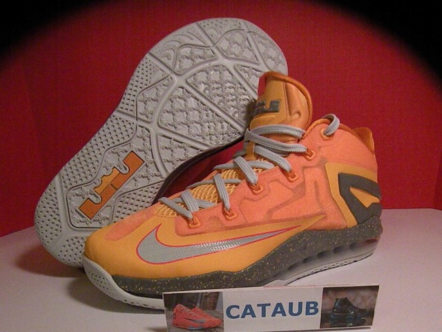 lebron 11 mango