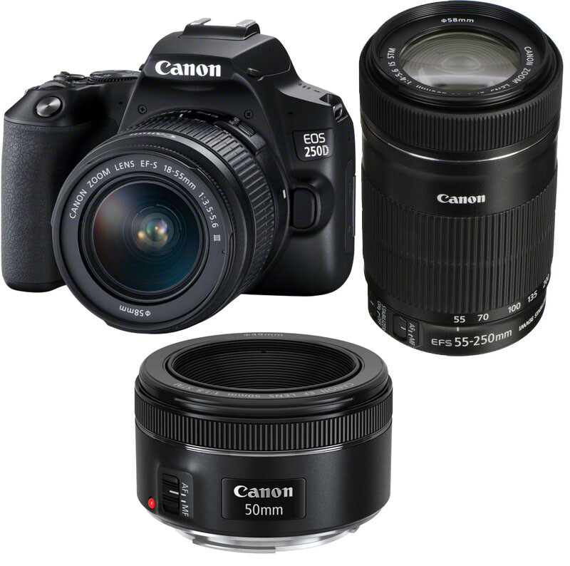 Canon EOS 250d camera & 18-55mm & 50mm & 22-250mm TRI lens