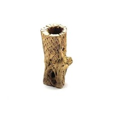 7  Teddy Bear Cholla Wood Choya - Hermit Crab, Reptile, Terrarium, Aquarium, Air