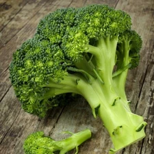 500 WALTHAM 29 BROCCOLI SEEDS ~ heirloomseedguy ~ 2026 ~ NON-GMO