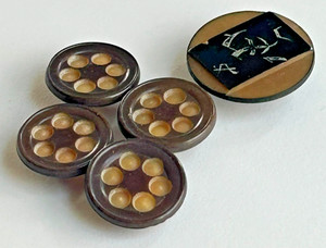 5 Vintage Vegetable Ivory Buttons 1/2" & 3/4"  Free Shipping