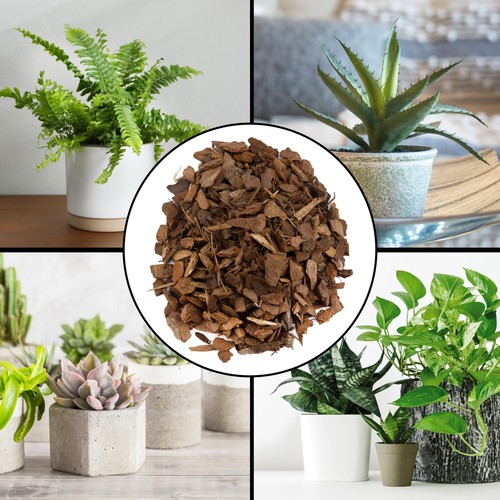 Pacciamatura per piante d'appartamento (8 quarti), piccoli trucioli di legno corteccia per interni, patio, vaso... - Foto 2 di 8