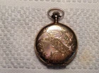 Beautiful-1902 Waltham Seaside 6s 15 Jewels-Gold Filled-Hunter Pocket Watch
