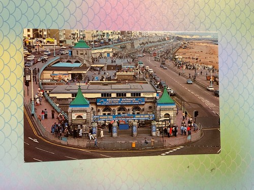 The aquarium and Madeira drive Brighton