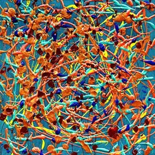 ARTISTA MAESTRO GIUSEPPE GRIECO QUADRI QUOTAZIONE E CERTIFICAZIONE OTTAVO