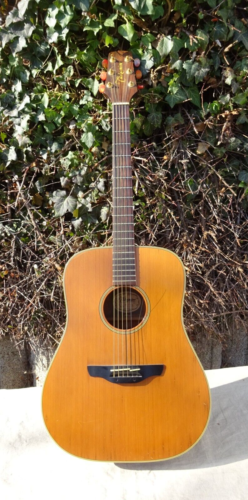 Guitar Note Takamine N 10