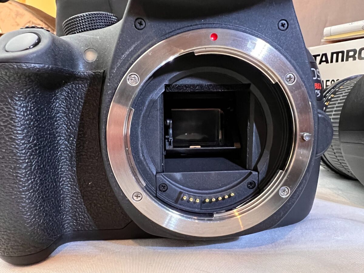 Canon EOS 1200D Rebel T5 SLR Camera DS126491 | eBay Canon EOS 1200D Rebel T5 SLR Camera DS126491 | eBay