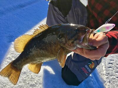 WLURE 10 VUOTO Topwater Popper Corpo 7cm Non Verniciato Pesca - Foto 5