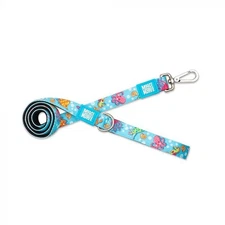 Max & Molly Dog Leash (Blue Ocean) - Small