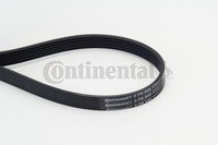6PK948 Continental Ctam Keilrippenriemen FüR Audi,CitroËN,Fiat,Ford,Honda,Peugeo