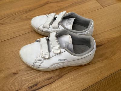 puma sneaker Gr. Uk 2