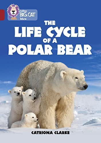 The Life Cycle of a Polar Bear by Catriona Clarke PAPERBACK - Image 4