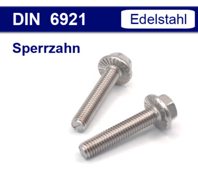 Flanschschraube Bundschraube Sperrzahn M5 M6 M8 M10 - Edelstahl V2A A2 - DIN6921